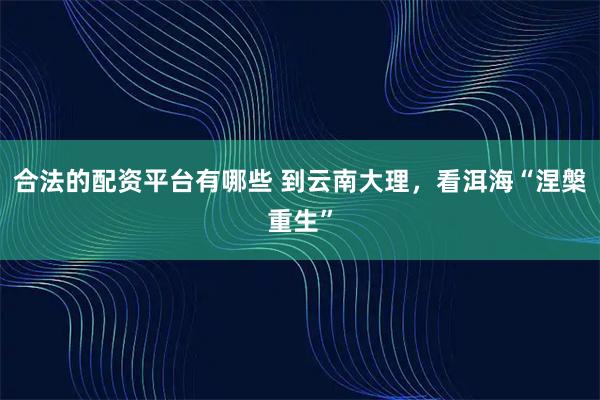 合法的配资平台有哪些 到云南大理，看洱海“涅槃重生”